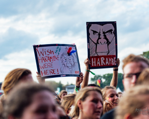 concert of AnnenMayKantereit at Lollapalooza, Berlin (2017)