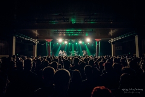 concert of Descendents at Astra, Berlin (2018)