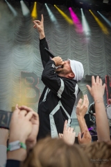 Beatsteaks at Lollapalooza Festival Berlin (2017)