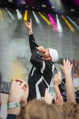 concert of Beatsteaks at Lollapalooza Festival Berlin (2017)