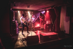Blaufuchs, Klub Linse, Berlin, 2017