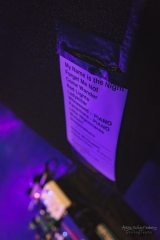 concert of Brian Fallon at Alter Schlachthof, Dresden (2018)