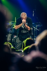 concert of Descendents at Astra, Berlin (2018)