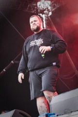 Feine Sahne Fischfilet - Vainstream Rockfest - Münster [01.07.2017]