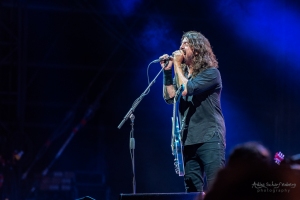 concert of Foo Fighters at Lollapalooza, Berlin (2017)