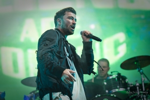 concert of Marteria at Lollapalooza Festival Berlin (2017)
