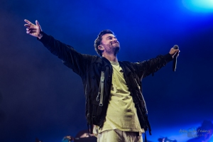 concert of Marteria at Lollapalooza Festival Berlin (2017)