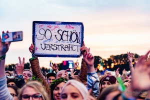 concert of Marteria at Lollapalooza Festival Berlin (2017)