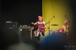 concert of NOFX at Punk In Drublic Fest, Berlin (2018)