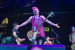 concert of NOFX at Punk In Drublic Fest, Berlin (2018)