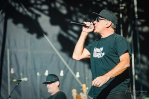 concert of Pennywise at Punk In Drublic Fest, Berlin (2018)