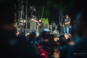 concert of Pennywise at Punk In Drublic Fest, Berlin (2018)