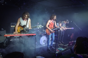 salamanda-fete-musique-musik-frieden-berlin-konzert (15)