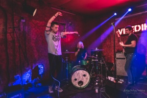 Vizediktator - Schokoladen - Berlin [28.02.2020]