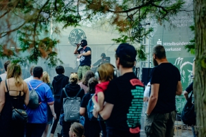 waving-the-guns-bergfunk-open-air-festival-live-konzert (4)