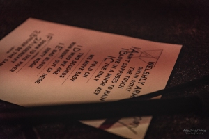 Welshly Arms at Frannz Club, Berlin (2017)