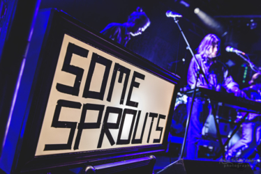 Some Sprouts at Lido, Berlin (2018)